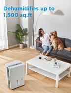 1,500 Sq. Ft. Dehumidifier | 22 Pint | Energy Star | Reusable Filter