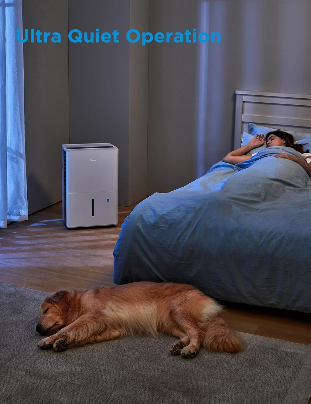 1,500 Sq. Ft. Dehumidifier | 22 Pint | Energy Star | Reusable Filter