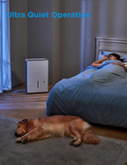 1,500 Sq. Ft. Dehumidifier | 22 Pint | Energy Star | Reusable Filter